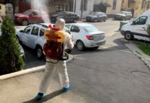 Firmă de deratizare certificată pentru mall-uri și DDD în industria alimentară din București