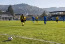 Foști fotbaliști de primă ligă se reunesc sâmbătă la Botău, într-un meci al legendelor Foști fotbaliști de primă ligă se reunesc sâmbătă la Botău, într-un meci al legendelor